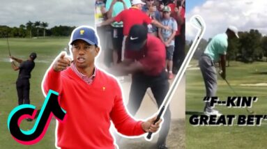 8 Minutes of the Best Tiger TikToks