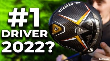 All you NEED to know about the Cobra LTDx Drivers