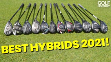BEST HYBRIDS 2021 - WE PICK A WINNER!