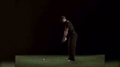 Tiger Nostalgia