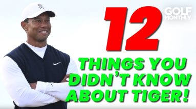 12 THINGS YOU DIDN'T KNOW ABOUT TIGER WOODS!