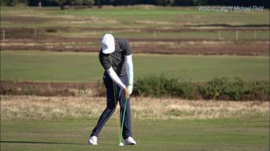 Erik Van Rooyan Swing Overlay Showing the Handle Position at Address versus a lag Impact.