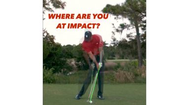 Where are you at IMPACT?