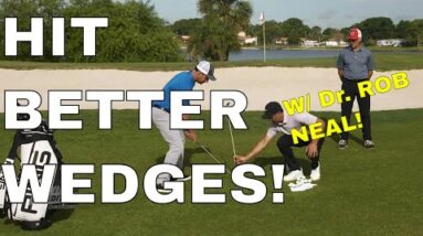 Hit Tour Quality WEDGES with Dr. Rob Neal