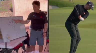 The MOMENTUM MOVE | EARLY EXTENSION & SHALLOWING w DR. KWON/ Be Better Golf