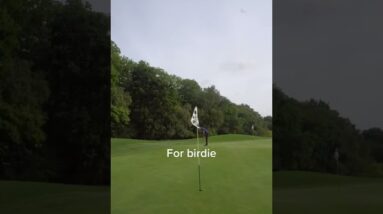 Can I Make PAR With Cobra ONE Length?