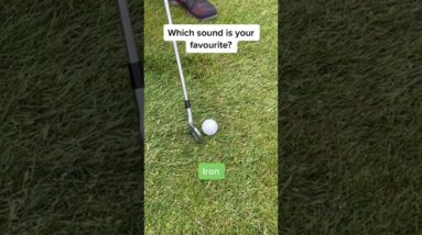 Which Sound is Your Favourite?