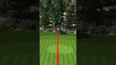 Should This Count As A Hole In One?
