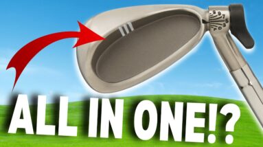 This Adjustable ALL IN ONE Golf Club is ALMOST Perfect??