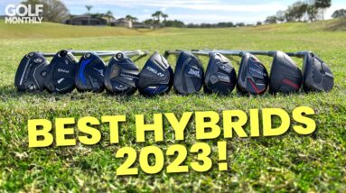 BEST HYBRIDS 2023!