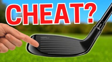 This NEW HYBRID is PRACTICALLY CHEATING?!
