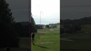 "I'm An Absolute Plonker!" 😂 😂