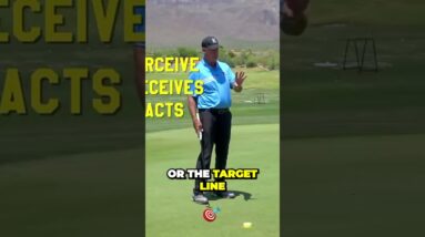 MALASKA golf putting eyes #golf #golfswing #shorts