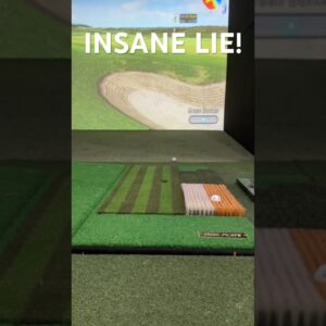This Golf Simulator Is CRAZY REALISTIC! ⛳️