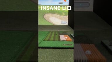 This Golf Simulator Is CRAZY REALISTIC! ⛳️