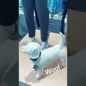 What Would You Buy At The Open Championship Shop? 👀