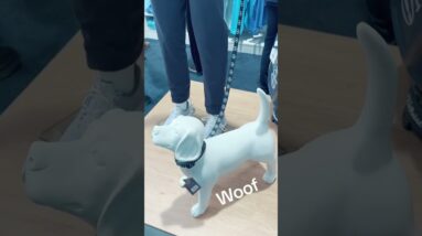 What Would You Buy At The Open Championship Shop? 👀