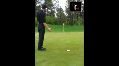 3 Golf Shots to LOWER Scores Around the Green#shorts #shortgame #golf #golftips #golfinstruction