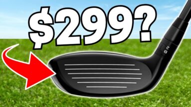 Is The BEST HYBRID OF 2023 WORTH THE PRICE TAG??
