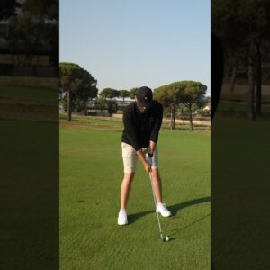 Attacked by insects on a golf course!