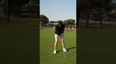 Attacked by insects on a golf course!