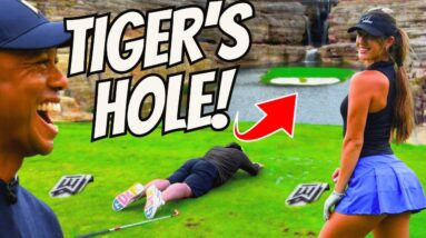 HOLE IN ONE On TIGER WOODS' INSANE $1,000,000 Hole!