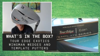 Check out the new Tour Edge Exotics Wingman Wedges and Template Series Putters!