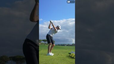How far can a professional golfer hit each golf club?