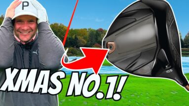 I FOUND THE BARGAIN DRIVER OF THE YEAR! MERRY CHRISTMAS!