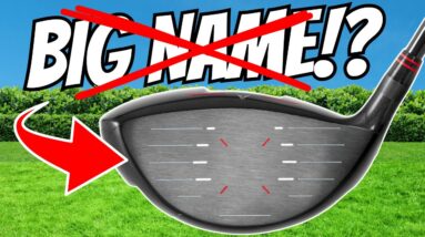 I Never Thought I Would See THIS DRIVER In A GOLF PRO'S BAG!