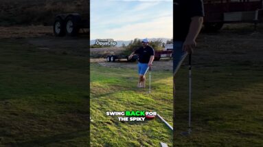 Mastering the Art of the Golf swing with Swing SHAPE  #golfdrill #golf