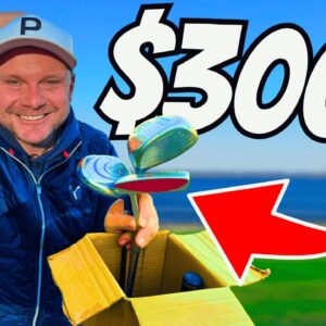 There Is NO WAY These CHEAP Golf Clubs Should DO THIS!!!