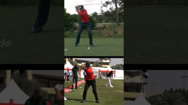 A Look Inside the Hands of a PGA Tour Pro