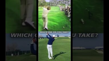 Tiger Woods or Jack Nicklaus' Swing? Which One You Taking? #golf #golfinstruction #golfswingspeed