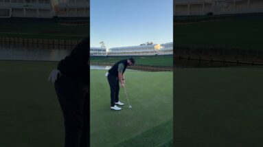 How I played the 17th at TPC Sawgrass 🏌️‍♂️