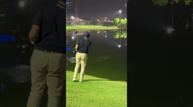 Reflections messing with my head 😉