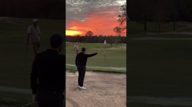 Who do you think you are I am! 🏌️‍♂️