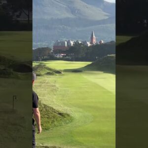 I just had to go for it... 😍