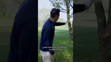 Course management is what will help you bring those scorecards down! #GolfShotGPS #AD #shorts
