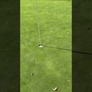 #golf first hole in one