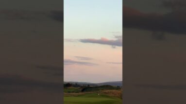 Last light, tracking flight. 🌅