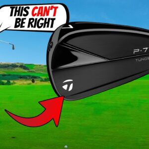 The BRUTAL Truth About The PHANTOM TaylorMade P770 Irons...