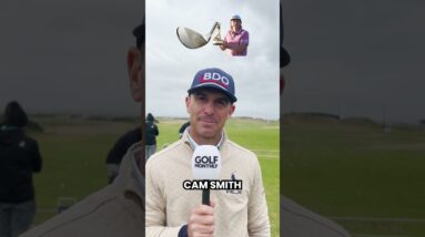 Billy Horschel's perfect golfer 🏌️#billyhorschel #pgatour #golfreels