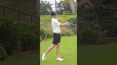 Have you ever hit a Krank Driver before?