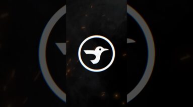 A little birdie told me something big is releasing today. 👀 #birdiesauce