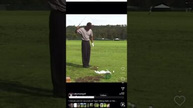 Here's A Clear Example Of Supination From Tiger Woods
