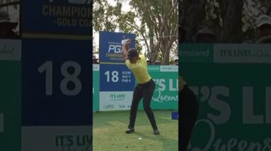 The Epitome Of Power In A Trailside Pattern