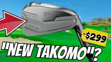 These NEW BUDGET Irons Are "The NEW TAKOMO's"!?