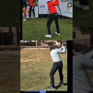 Getting Closer And Closer To Tigers Swing