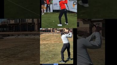 Getting Closer And Closer To Tigers Swing